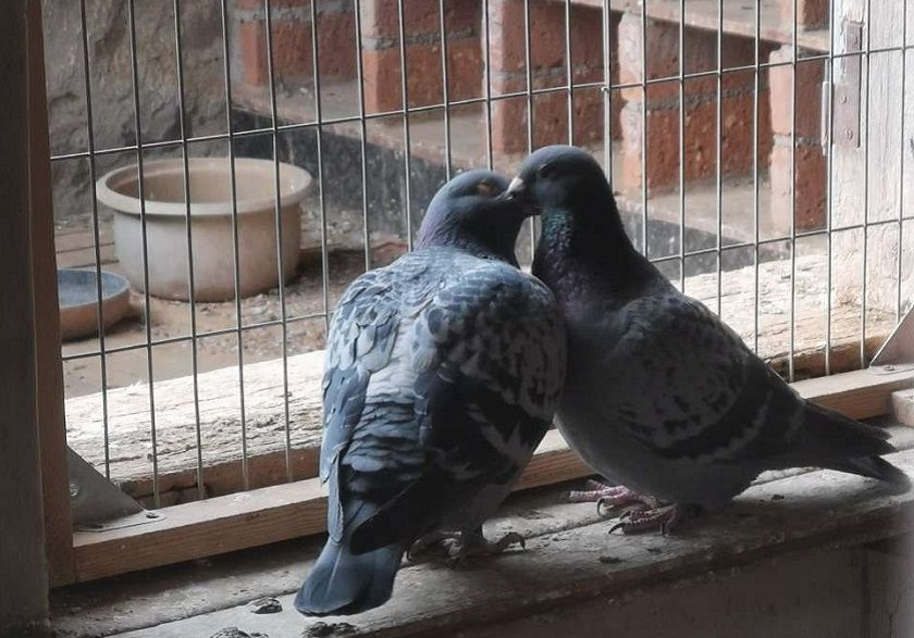 ����֮������䣿�Ĵ�˼·���ο�