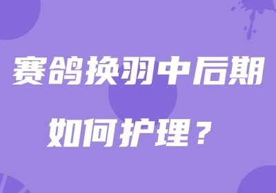 ���뻻���к�����δ���