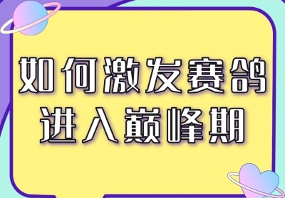 ��μ�����������۷���