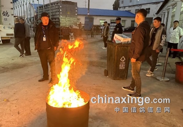 �ƶ�ǰ����������������ʤ�׹�չ�᰿�����Ի�"