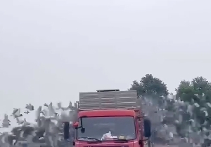 ��������ͬʱ���� �����������Ƚ�����