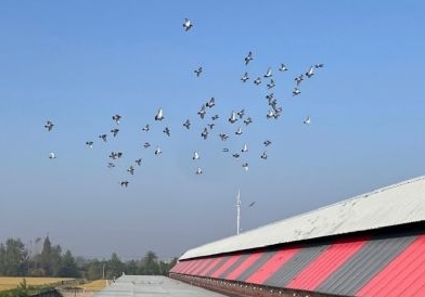 ��������ٹ����շ�վ�������� ��ʿ����