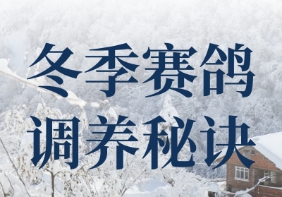 ������������ؾ�