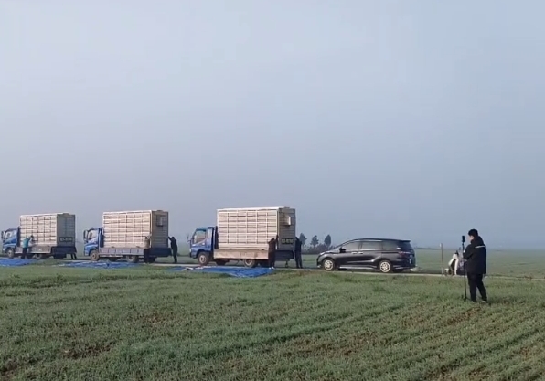 ��һ��ս���ɹ� ���������׹ع鳲���˳�