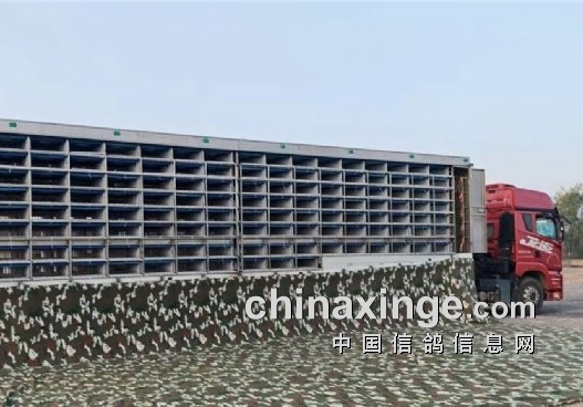 Ԥ��Ҳ�ѷ� ���ҹ���鳲�ҵ���ֹ����