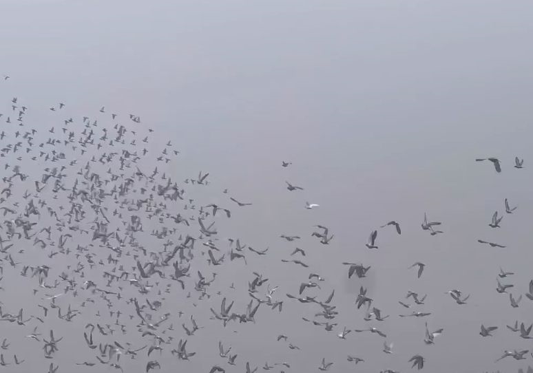 ������������� ������ؽ������