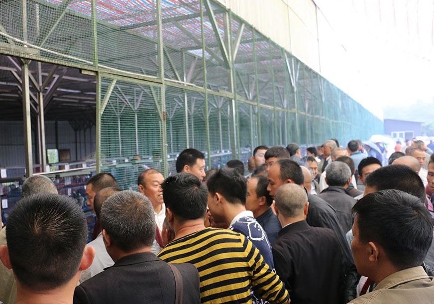 ��һ�Ǹ����Щ�£�Ϊɶ��ô���������