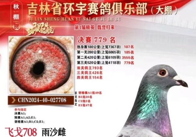 2024�깫������ܽ�