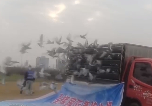 ����δ���� ������н���������