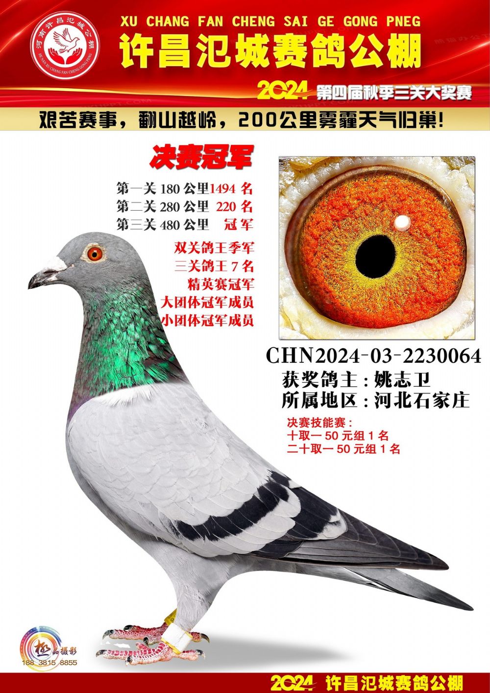 ������ǹ��������񽱸���Ⱦ�����