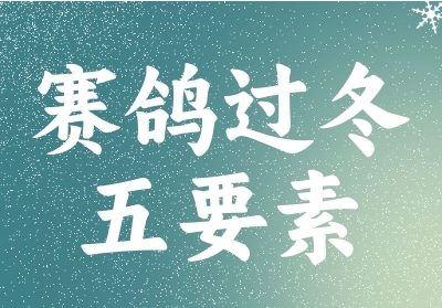 �������������������Ҫ��