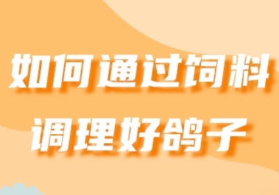 ���ͨ�����ϵ����ø���