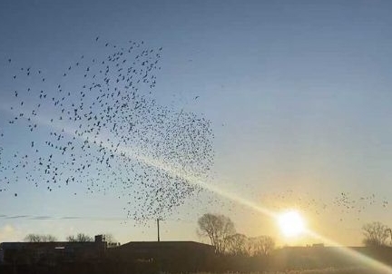 �����������������400����κ����ھ�