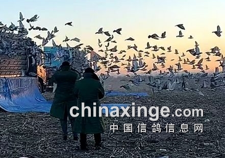 ��������ڶ���410���������ѧ��ժ��