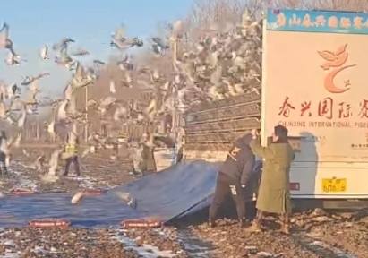 ���ߺ÷��𣿴��˼�ս��һСʱ�鳲����