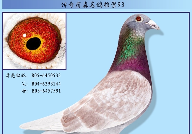 ����ղɭ���뵵��93��Ư�����