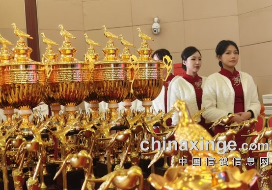 �ں�Ͽ���������������������̨