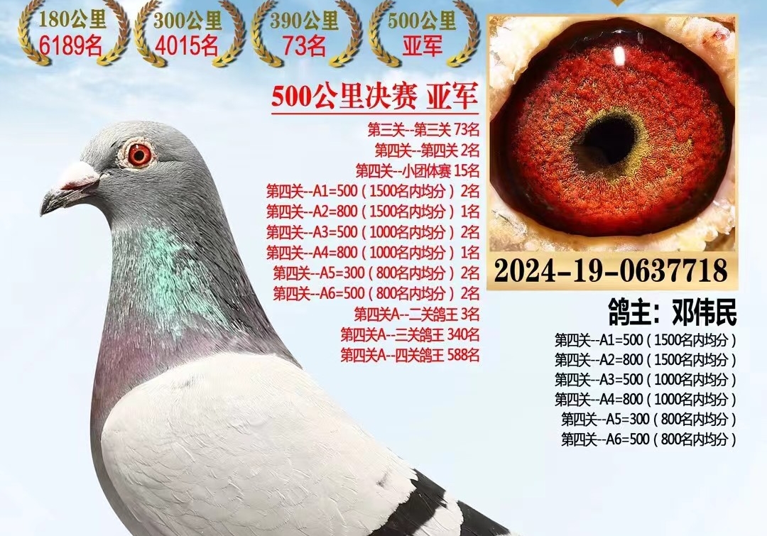 ������ʥɮ �˸���������