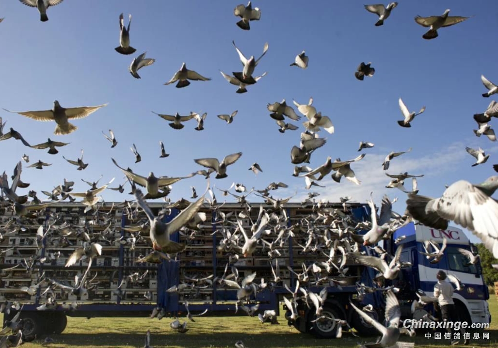 ��ģ��Χ�� �ĳ������������ٷ��ɼ�������