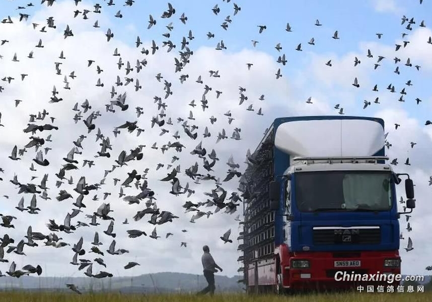 ������������ʱ �����ٸ��ӣ�