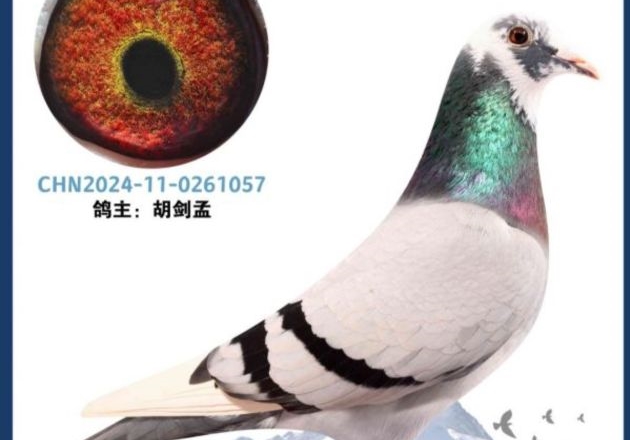 ʵ��ս�� ��������Ĺظ���ǰ��ռ��