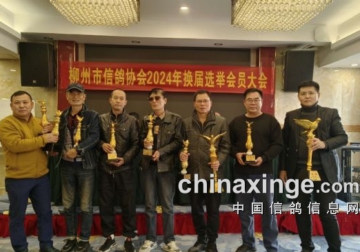 ������ȥ��н��  �µ�δ��������