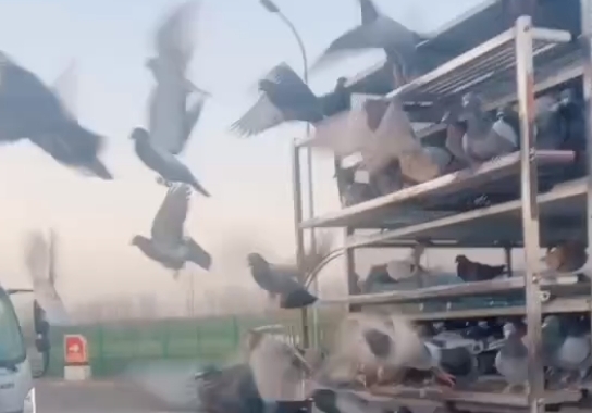 700����ݺݴ򣡻�����ͷ���ɳ��λ�