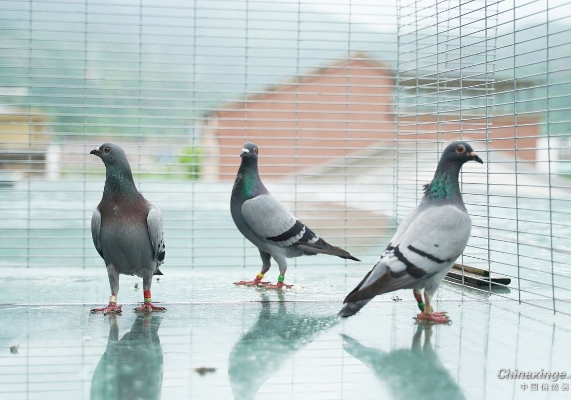 ǧ�𲻻����ٹ���Ƿ���Ʒ��