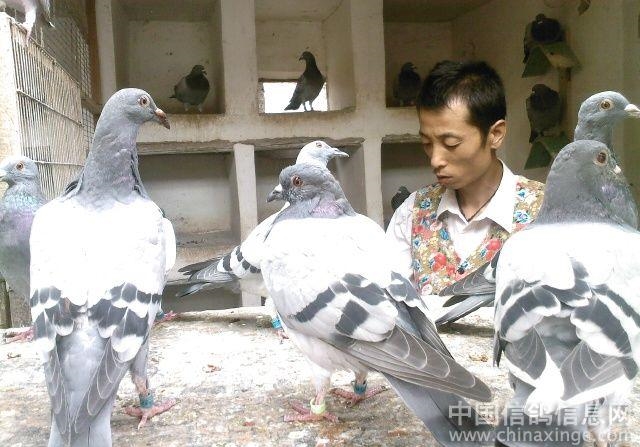 ��ϲ���� ���깫�������ܽ����