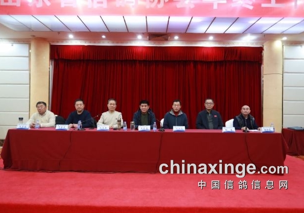 2024��ɽ��ʡ������չ����ܽ����