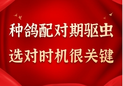 �ָ������ ����ѡ��ʱ���ܹؼ�