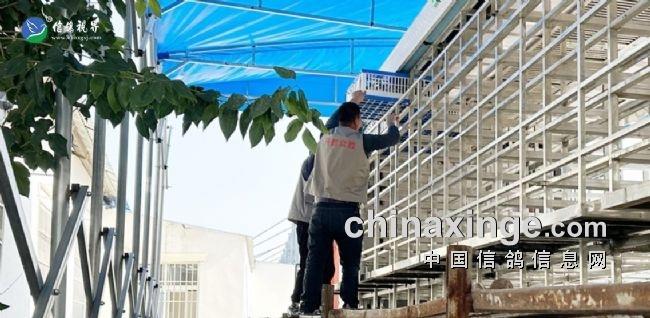 ˵˵������³�