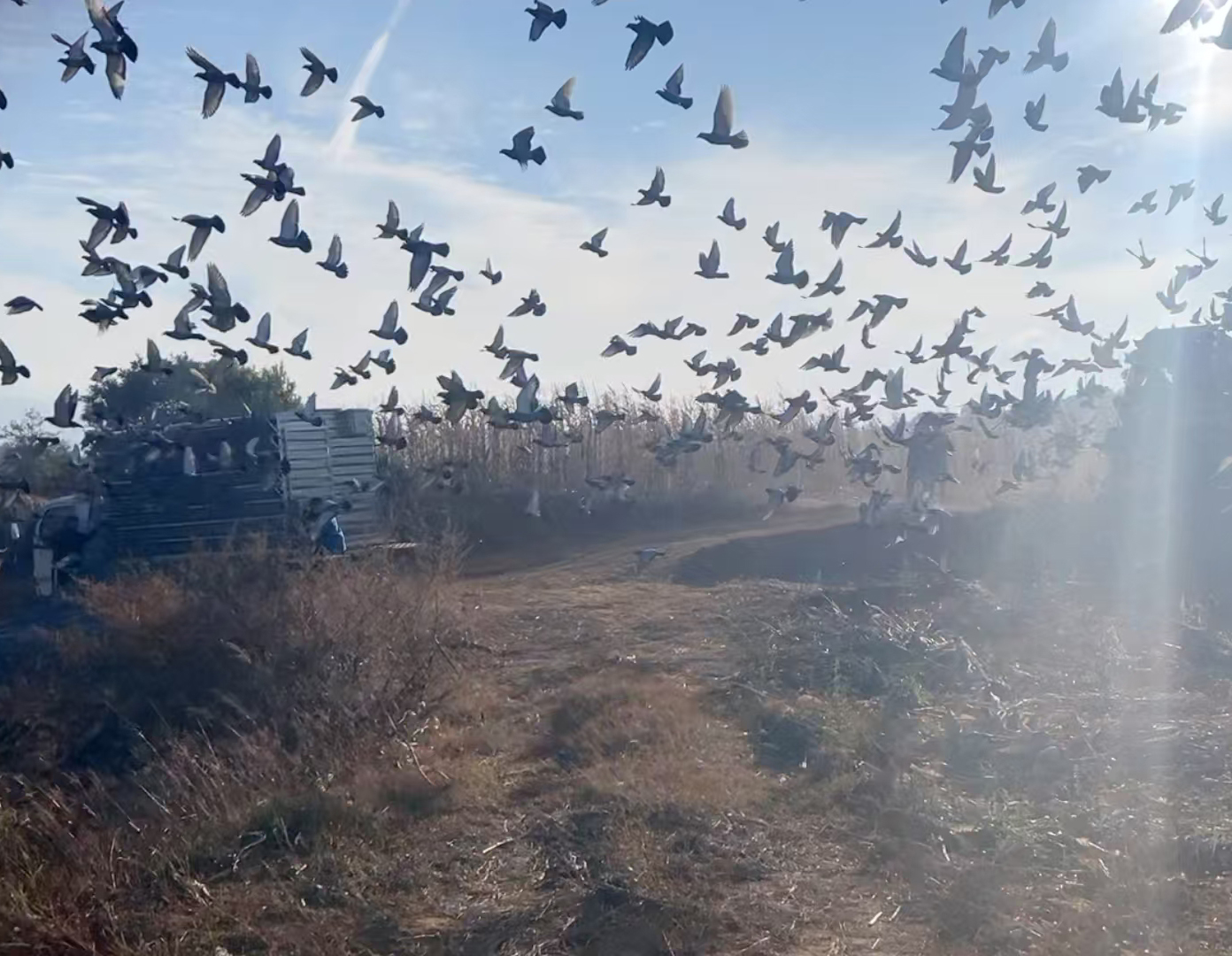 ����һ����������վ �����鳲�������ʳ�¯