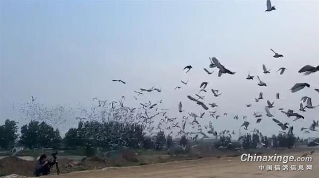 �´����� �Ĵ�һ�������վ��Ļ