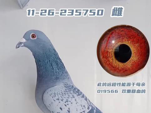 ��Խ��13���ϴƸ��������ɹ�