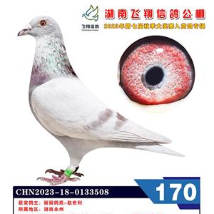 ������֡�ͬ���ֵ�����콱̨