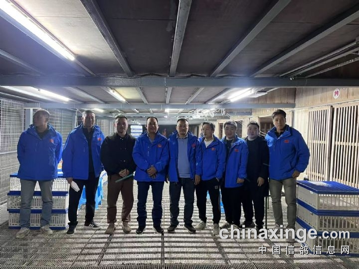 9485���� �㶫�������ʸ�������