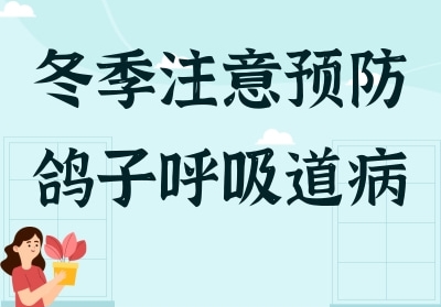 ����ע��Ԥ���ø��ӵĺ�������