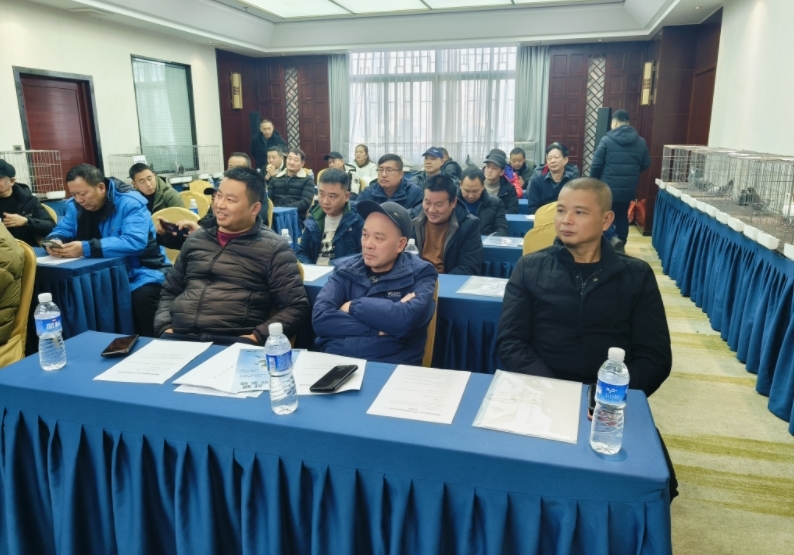 ����ʡ�Ÿ�Э��2024�������ܽ���