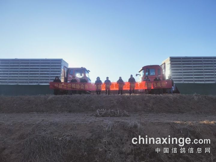 1.4�������뼯�� �ൺһ�����շ�վ����