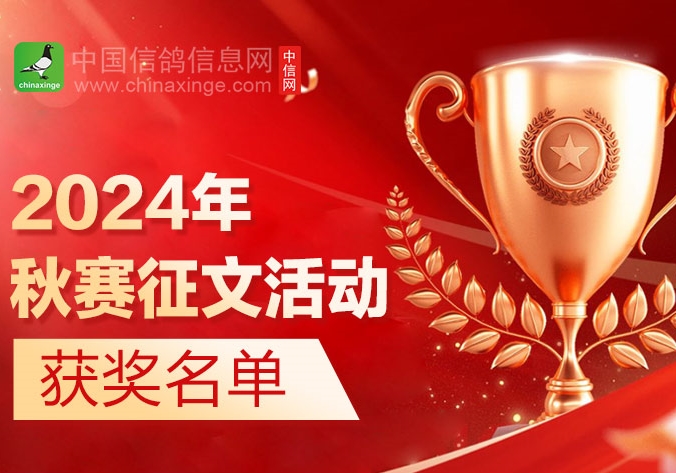 �Ű���������������ʱ�����Ļ����������