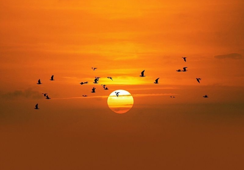 �����и�����������������