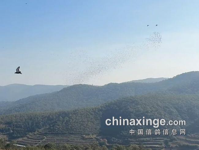 ����8591��������˳�����׽촺������