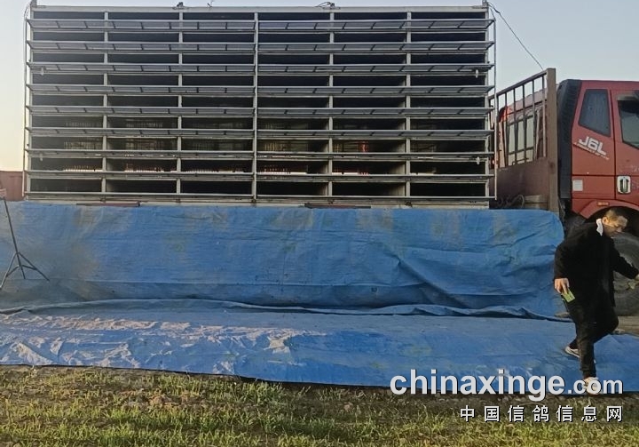 ����Ŵ󾵣��Ÿ복 ������˭Ч���ã�