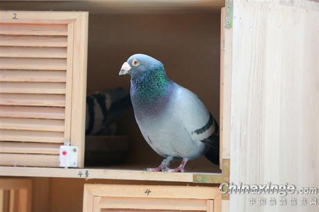 ����Щ������������ָ����˻�