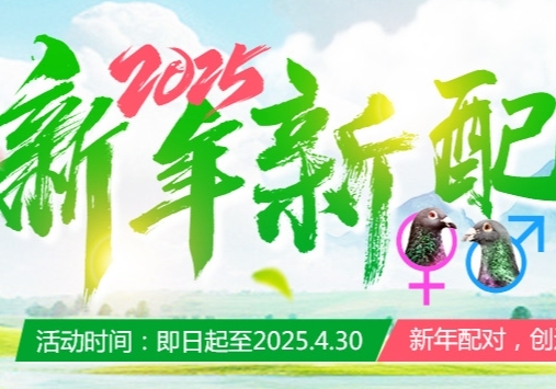 2025 ˵ġһ䡱