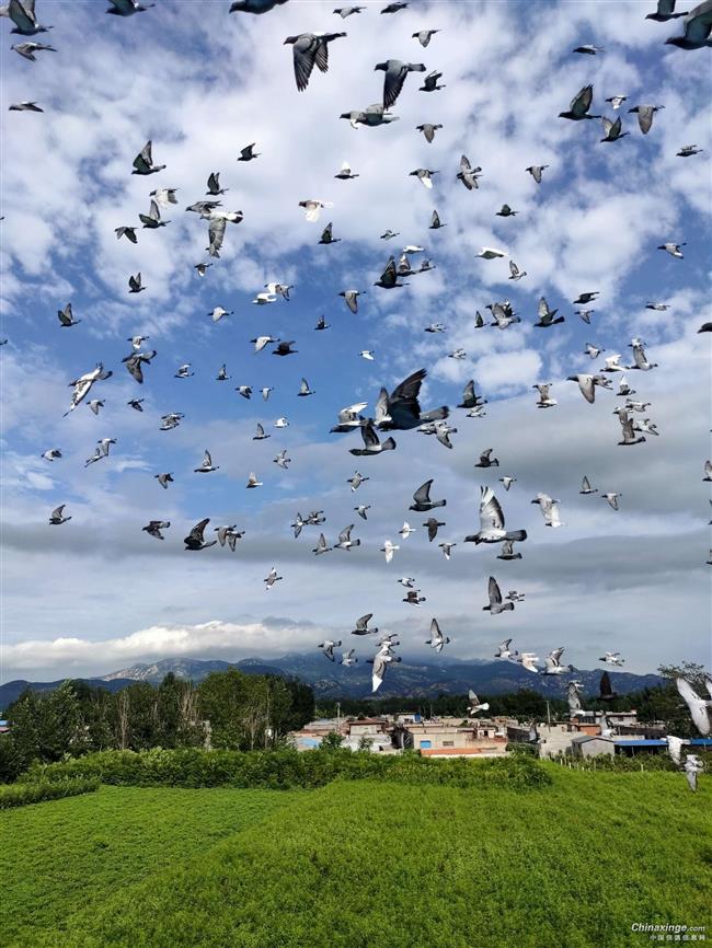 �����Խ�  ��սǧ�� 2024��Զ������ȫ��¼