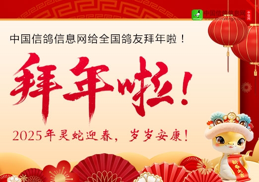 ���������й��Ÿ���Ϣ��ף������������֣�