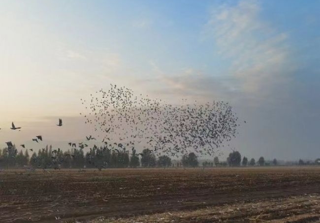 ʯ��ׯ����������������������ͨ��