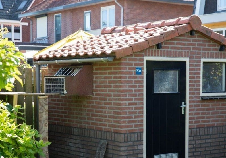 ��¼�����ɰܣ��ü��Բ����ñ�ͷ